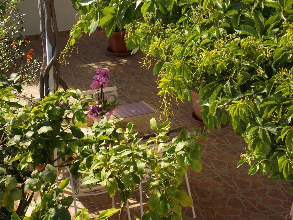 Apartmani Niki Hvar Hvar Town Eksteriør bilde